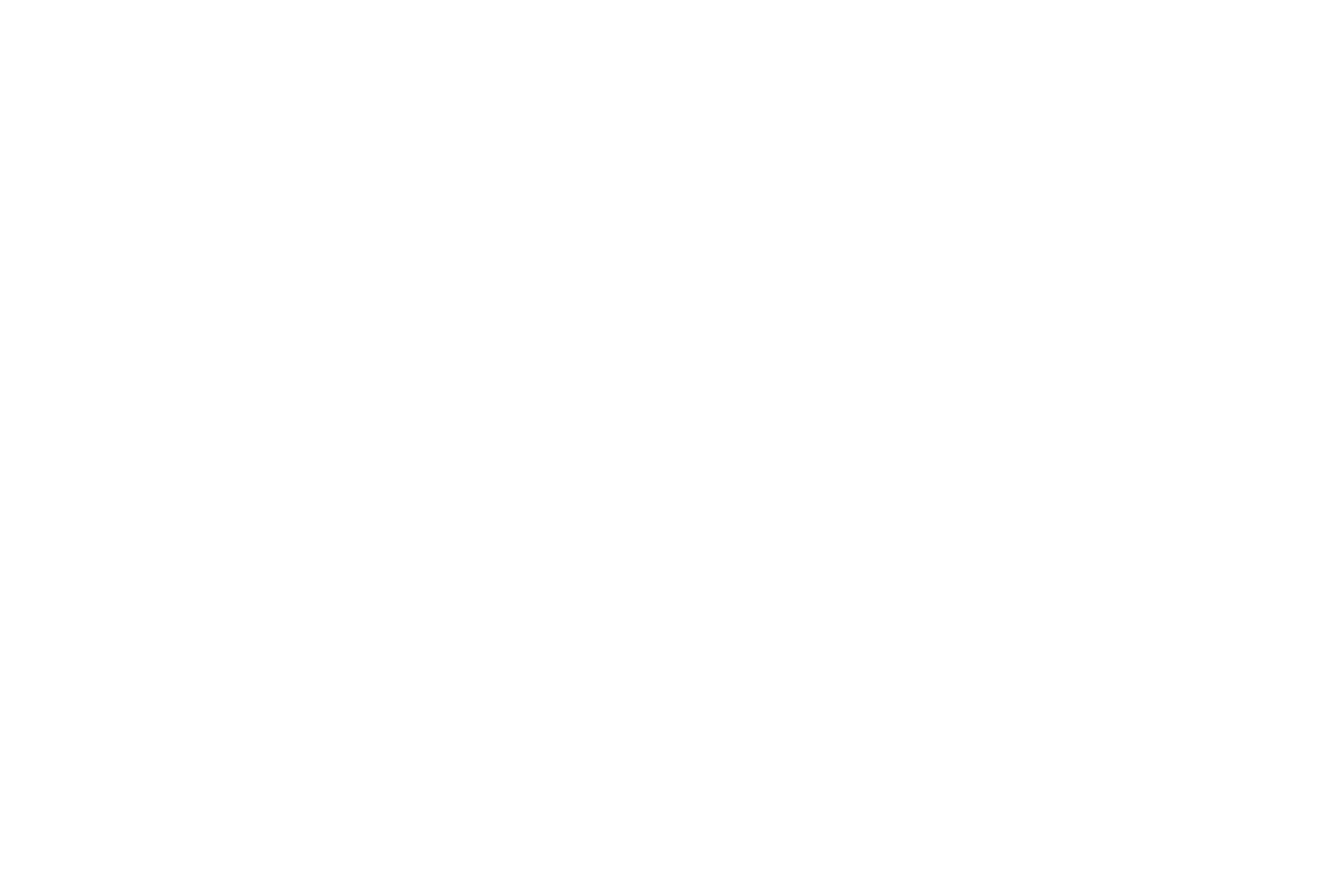 Anthropic